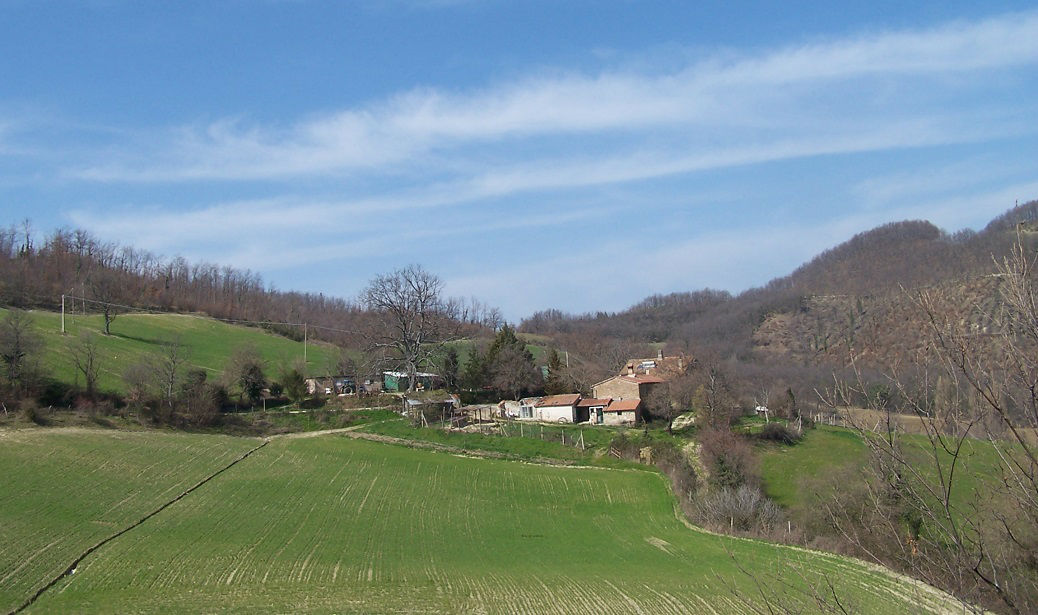 Azienda agricola Comi Armenzano - Assisi