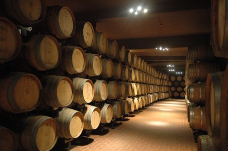 Open Cellars