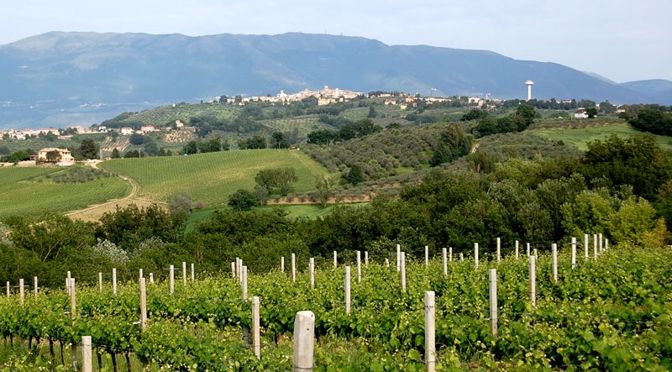 Open Cellars, Calici di Stelle – Umbria and the wine