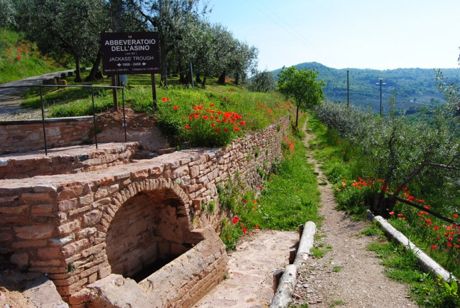 Roman Aqueduct Spello