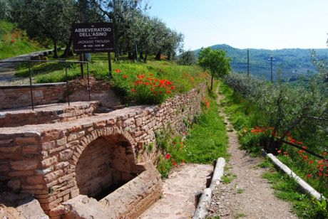 Acquedotto Romano Spello