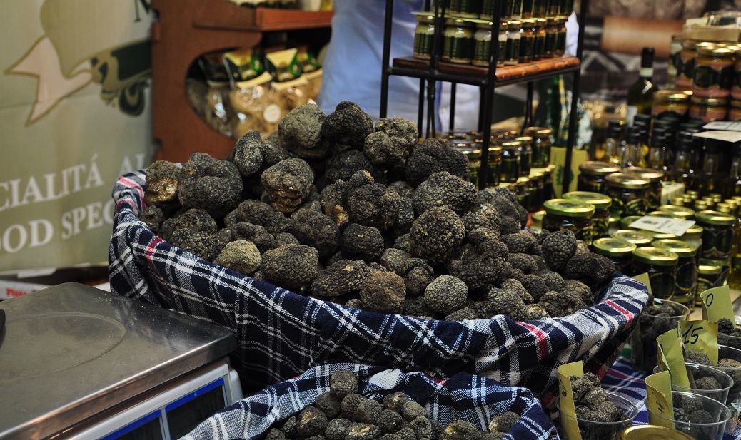 Valtopina truffle exhibition