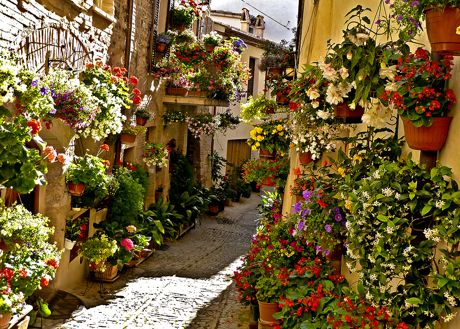 Flowery alleys - Spello