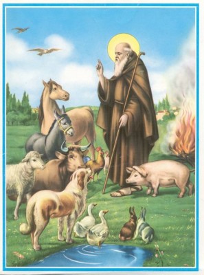 Blessing of the animals - Saint Anthony's dish - Assisi